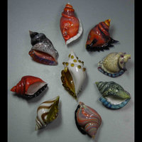 Tutorial- How to make a hollow borosilicate sea shell pendant